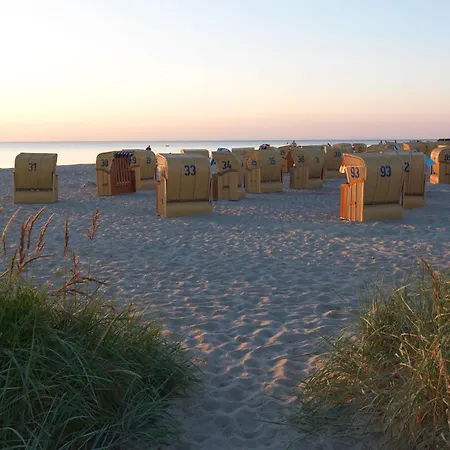 Haus Suedwester Strandkrabbe