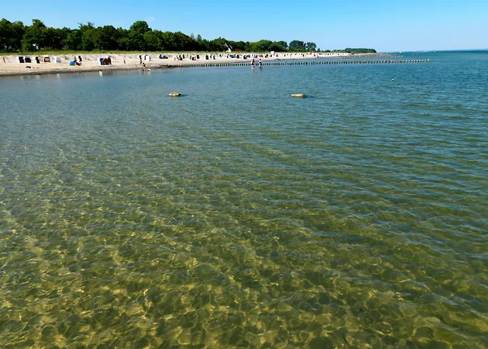 Haus Suedwester Strandkrabbe *