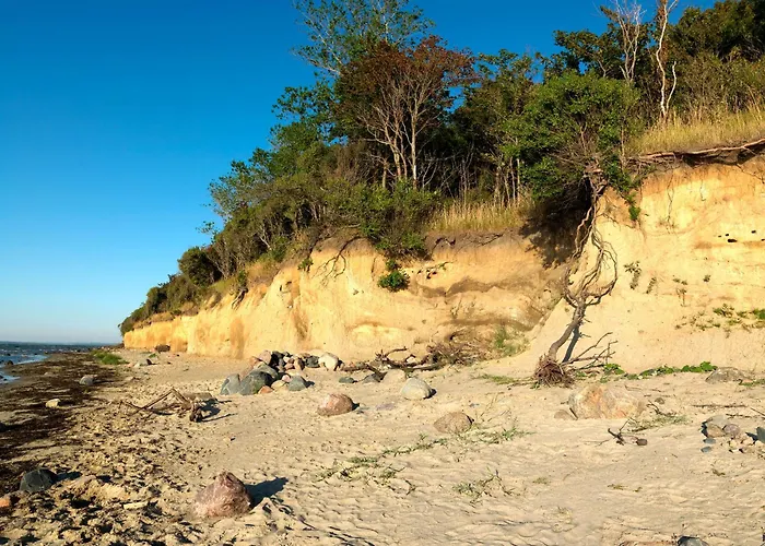 Haus Suedwester Strandkrabbe